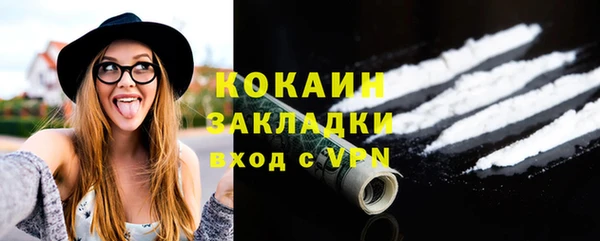 ПСИЛОЦИБИНОВЫЕ ГРИБЫ Горняк