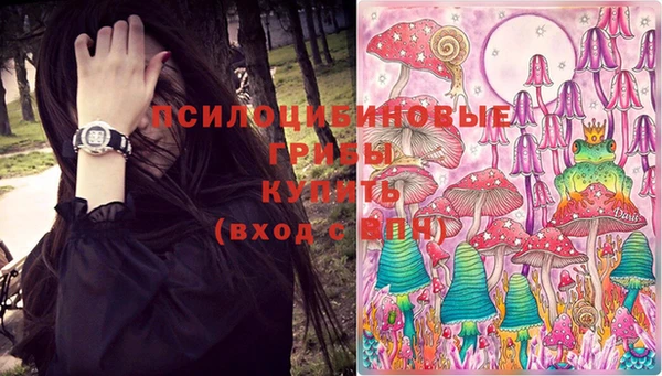 прущие грибы Гусев