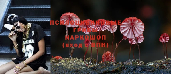 трава Гусиноозёрск