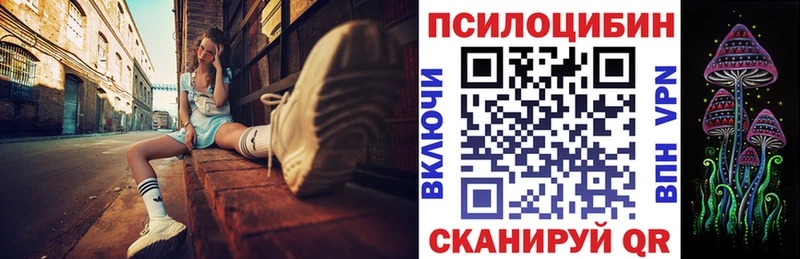 Псилоцибиновые грибы мицелий  Купить где  Курганинск 